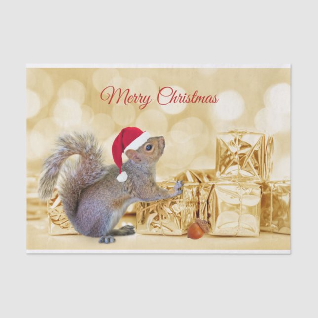 Merry Christmas Squirrel in Santa Hat & Gifts  Tissue Paper (Front)