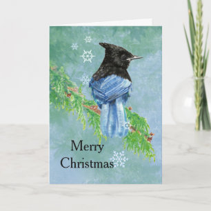 Merry Christmas Stellar Jay Bird Scripture Art Holiday Card