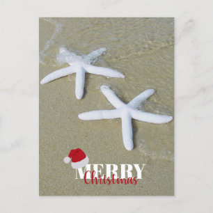 Merry Christmas Summer Starfish Beach Xmas Holiday Postcard