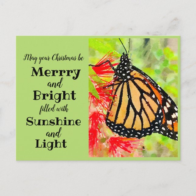 Merry Christmas Sunshine Monarch Butterfly Postcard (Front)
