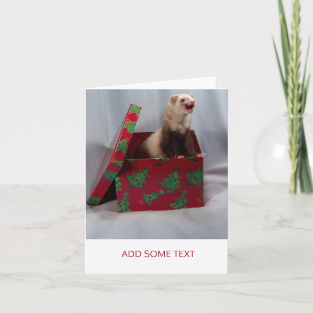 Merry Christmas - Surprise Ferret Holiday Card (Front)