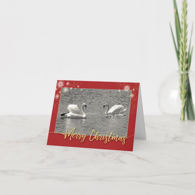 Merry Christmas Swan Family Holiday Card (Front)