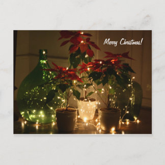 Merry Christmas to all Holiday Postcard