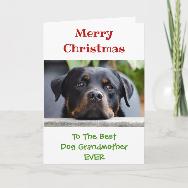 Merry Christmas to Grandmother from the Dog Holiday Card (Front)