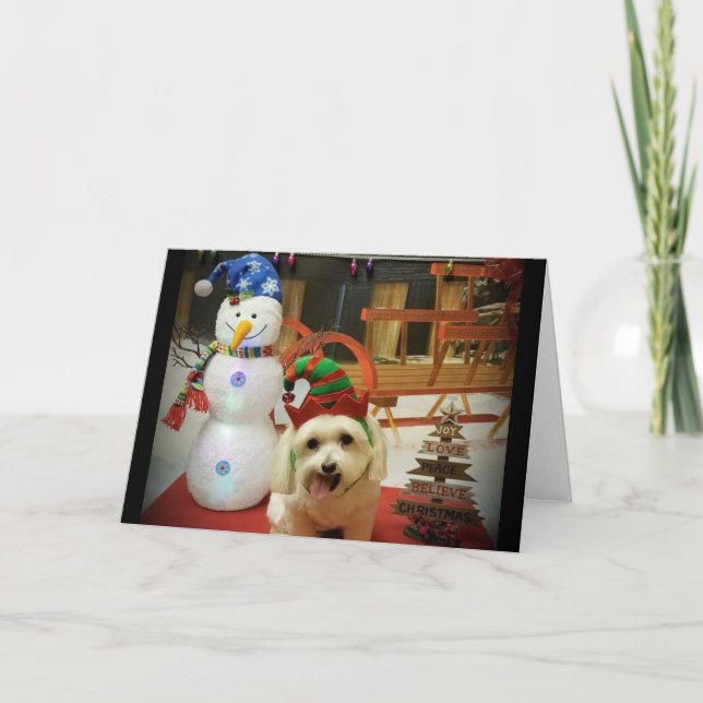 MERRY CHRISTMAS TO OUR DOG CARE GIVER HOLIDAY CARD (Front)