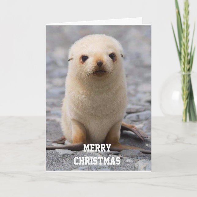 MERRY CHRISTMAS "TO YOU!" FROM "ME" HOLIDAY CARD (Front)