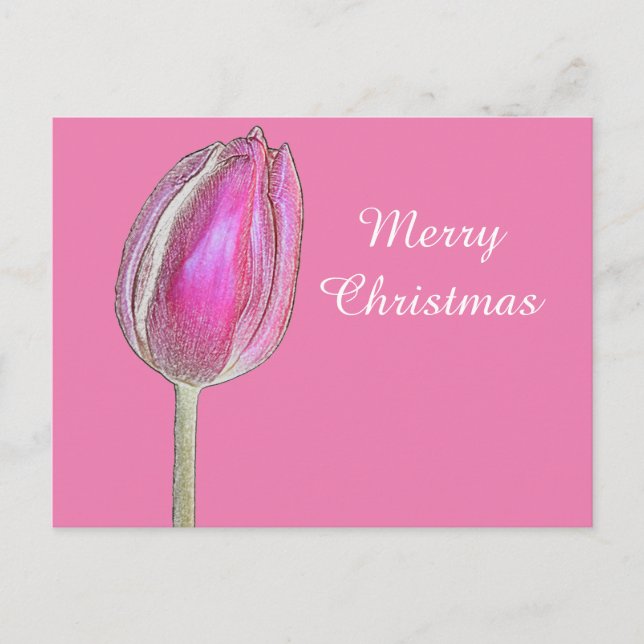 Merry Christmas Tulip Flower Floral Art Pink White Holiday Postcard (Front)