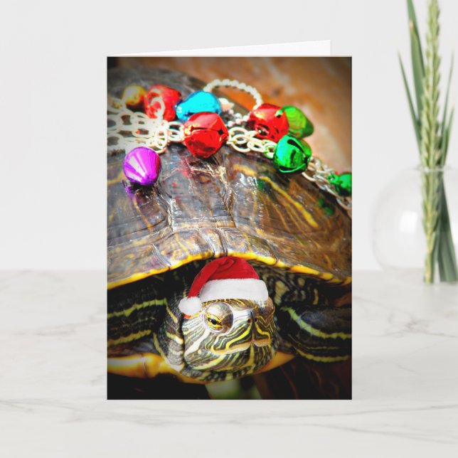 Merry Christmas Turtle Holiday Card (Front)