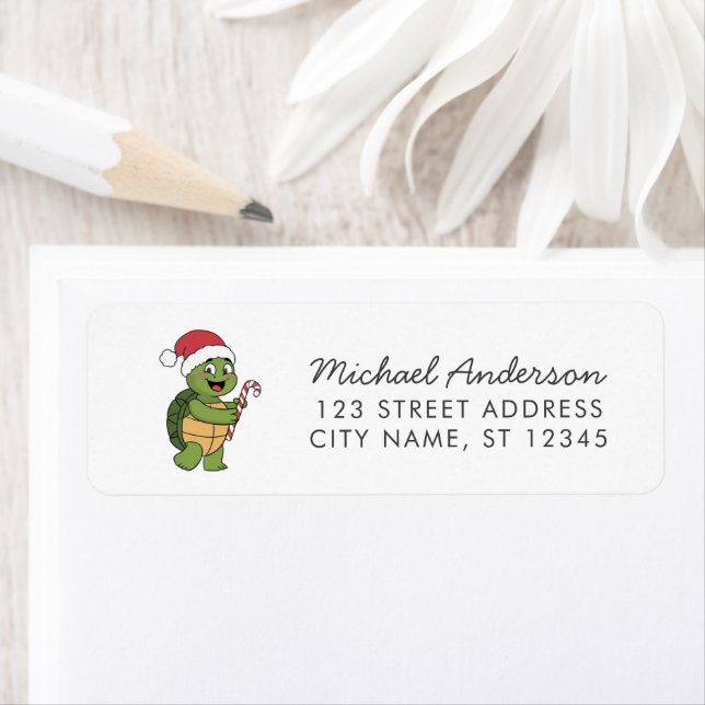 Merry Christmas Turtle in Santa Hat Return Address (Insitu)