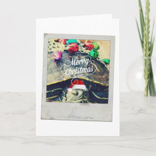 Merry Christmas Turtle Vintage Photo Holiday Card