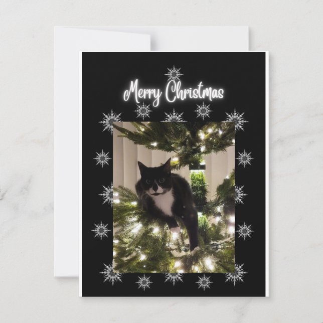 Merry Christmas. tuxie cat on Christmas tree.  Card (Front)
