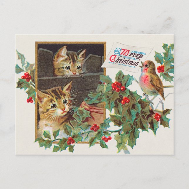 Merry Christmas vintage 1911 illustration Postcard (Front)