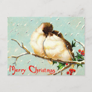 Merry Christmas Vintage Birds Postcard