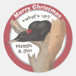 Merry Christmas +what's up? John Gould woodpecker Classic Round Sticker
