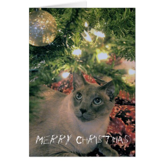 Merry Christmas, where's my present? Card