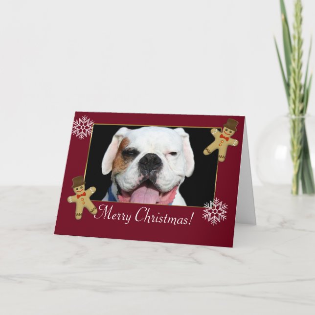 Merry Christmas  White Boxer Dog Holiday Card (Front)