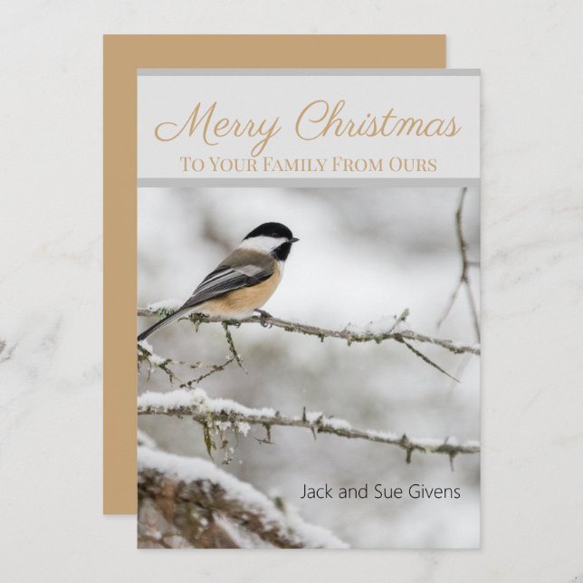 Merry Christmas Winter Bird Custom  Holiday Card (Front/Back)