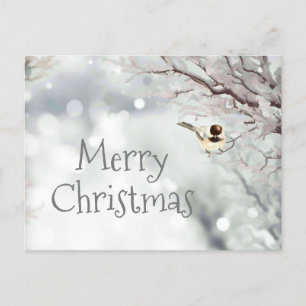 Merry Christmas Winter Frost Bird Holiday Postcard