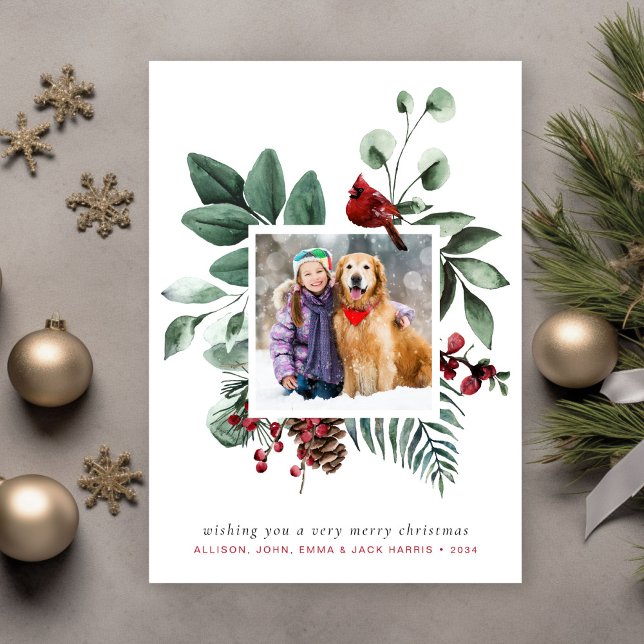 Merry Christmas Winter Red Cardinal Photo Holiday Card (Share the love and warmth of the season with a personalized photo Christmas card)