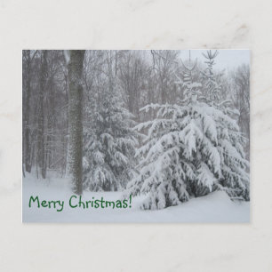 Merry Christmas Winter Scene Holiday Postcard