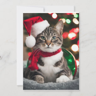 Merry Christmas with a cute kitten Holiday Card