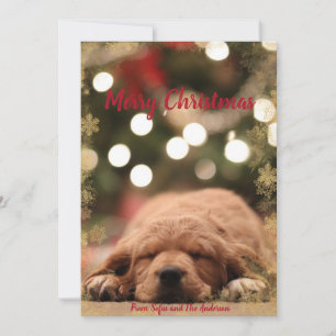 Merry Christmas with golden snowflake frame Holiday Card
