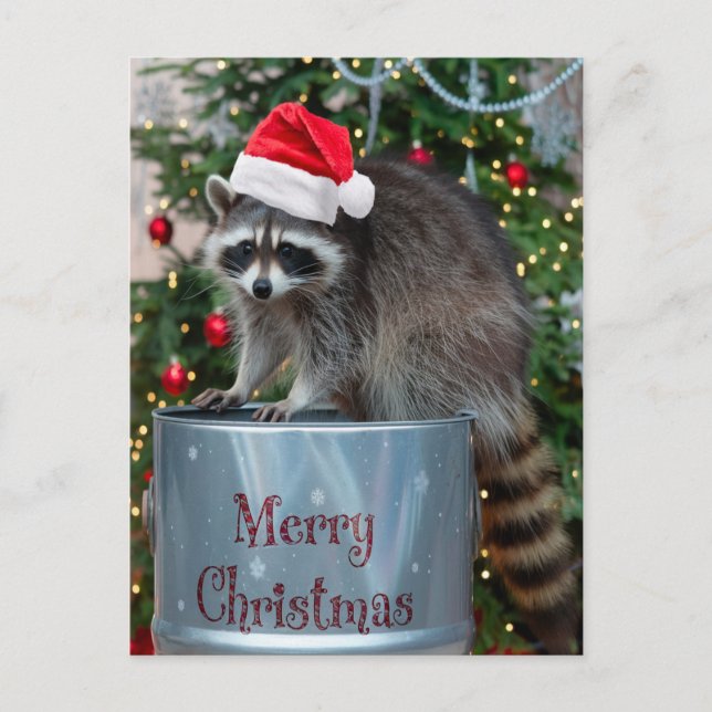 Merry Christmas With Racoon Santa Scene Holiday Postcard (Front)