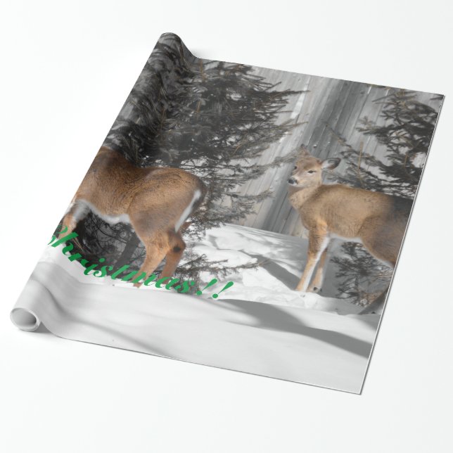 Merry Christmas Wrapping Paper (Unrolled)