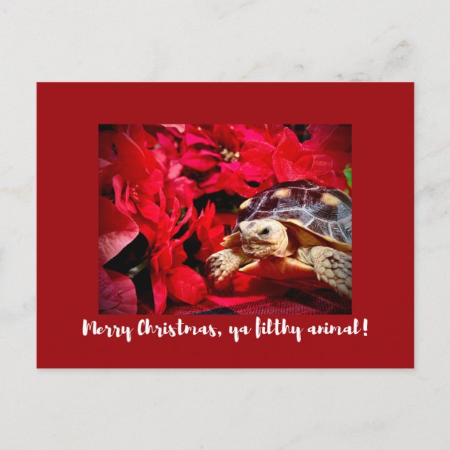 Merry Christmas ya filthy animal baby turtle Xmas Postcard (Front)