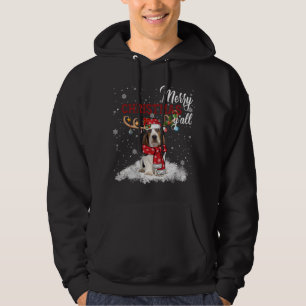 Merry Christmas Y'all Basset Hound Christmas Ornam Hoodie