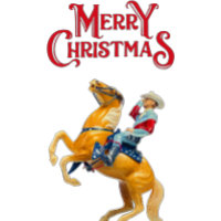 Merry Christmas Y'all!