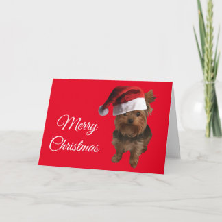 Merry Christmas Yorki Card