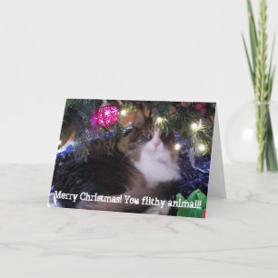Merry Christmas you filthy animal aloof cat Holiday Card