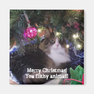 Merry Christmas you filthy animal aloof cat Magnet