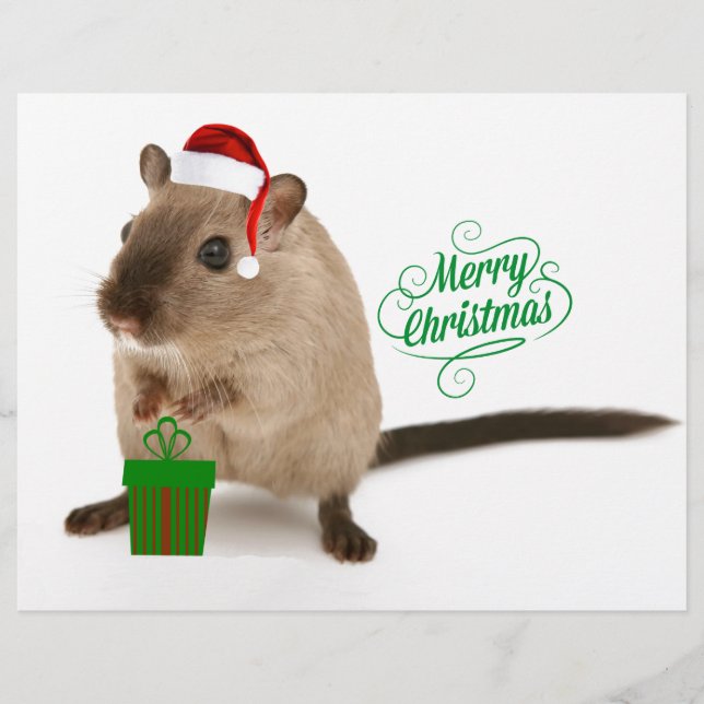 Merry Christmouse (Front)