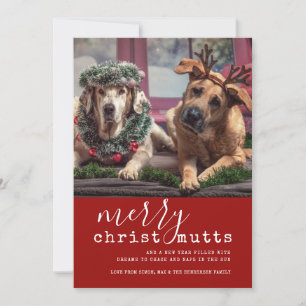 Merry ChristMUTTS Dog Photo Cute Simple  Holiday Card