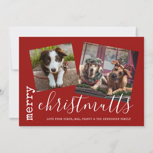 Merry ChristMUTTS Dog Photo Pets Holiday Card (Front)