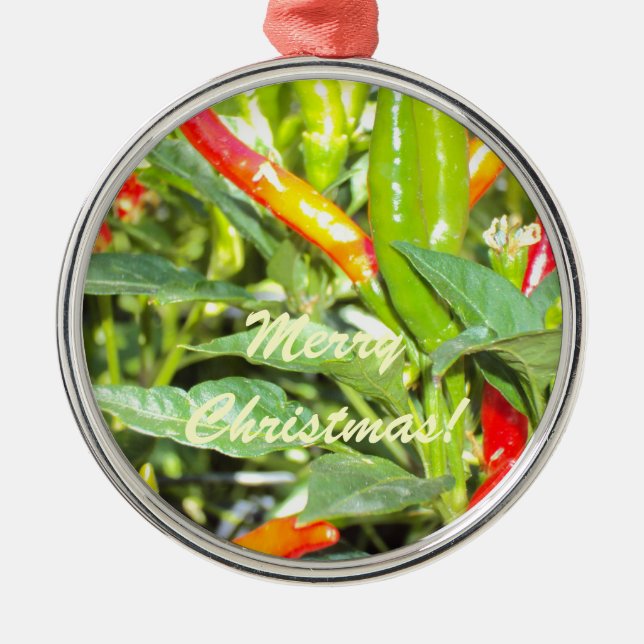 Merry Chritmas Chilli Pepper Ornament (Front)