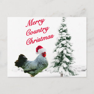 Merry Country Christmas Chicken With Santa Hat Holiday Postcard