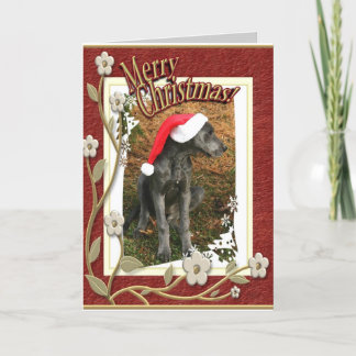 Merry Cristmas Holiday Card