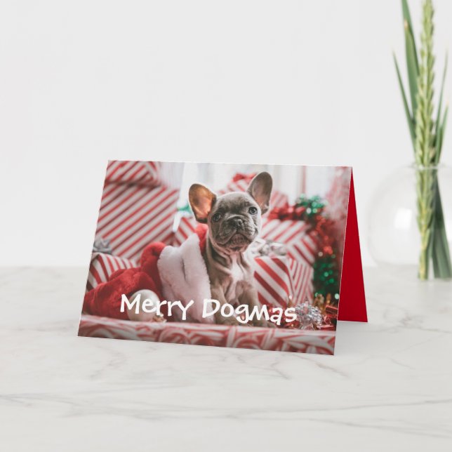 Merry Dogmas Christmas Card from the Dog (Front)