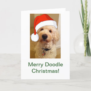 Merry Doodle Christmas! Holiday Card