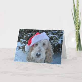 Merry GBGV Christmas Holiday Card