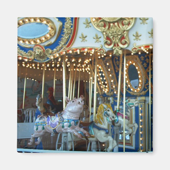 Merry Go Round Magnet (Front)