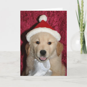 Merry Golden Little Christmas Holiday Card