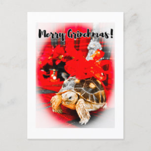 Merry Grinchmas baby sulcata tortoise with red bow Postcard