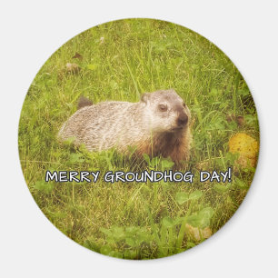 Merry Groundhog Day magnet