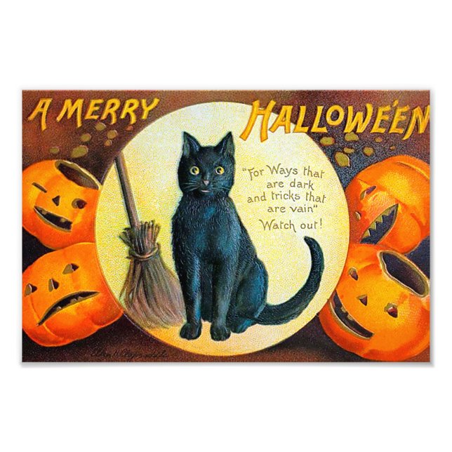 Merry Halloween Cat Photo Print (Front)