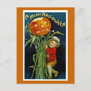 Merry Halloween Jack o' Lantern Postcard