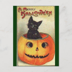 Merry halloween postcard